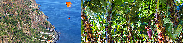 madalena_do_mar